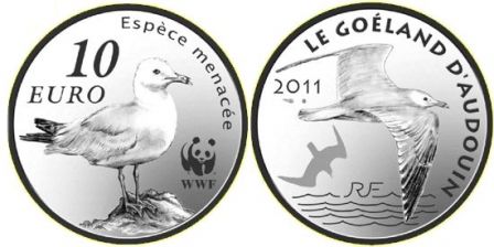 10wwf.jpg, janv. 2011